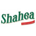 Shahea