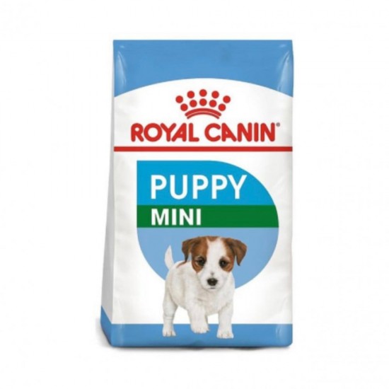 Royal mini puppies 4kg