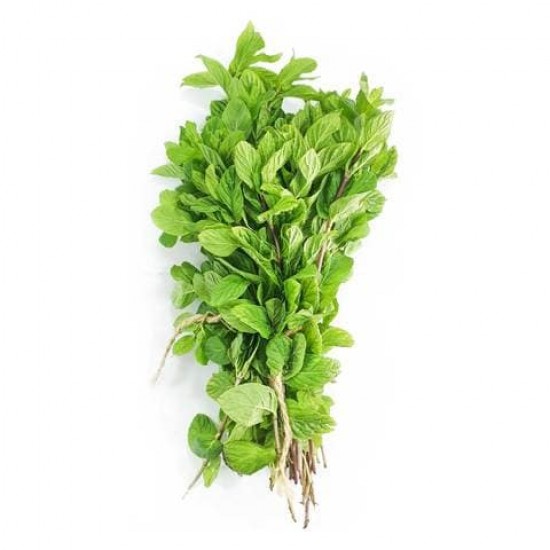 Fresh Mint Local