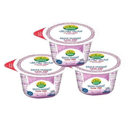 Nada Bluebery Grek Yogurt 160g2+1