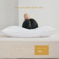 Indulge in Luxury Sleep: Hotel Collection Bed Pillows for Sleeping - King Size, Soft, Cooling Luxury Pillow for Back, Stomach, or Side Sleeper - 50X75cm, Set of 2