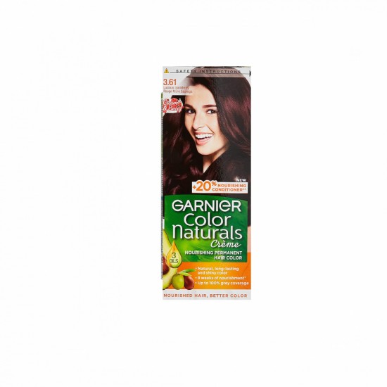 Garnier Attractive Raspberry Red Hair Dye No. 3.61