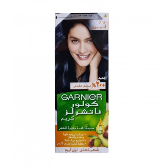 Garnier bluish black hair dye No. 2.1