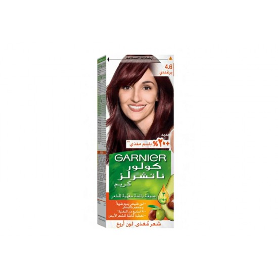 Garnier Burgundy Hair Dye No. 4.6