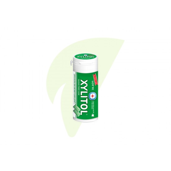 Lotte Xylitol Gum Lemon Mint 29g 0030