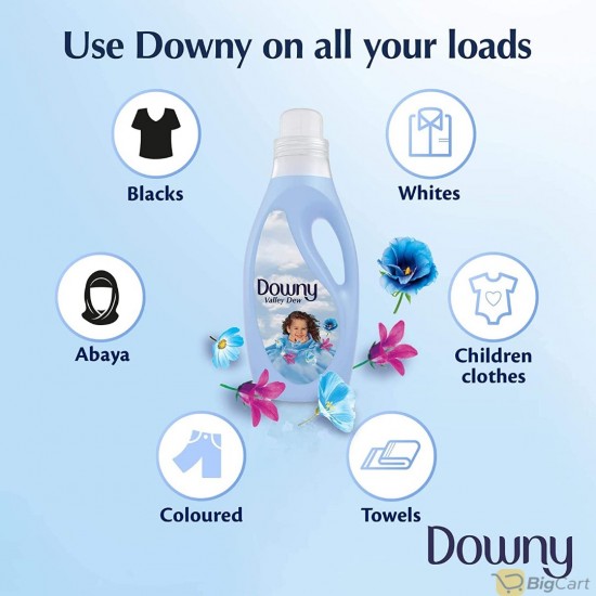 Downy Fabric Softener Valley Dew 2L