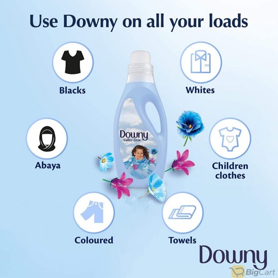 Downy Fabric Softener Valley Dew, 1 Liter Bottle