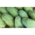 Indian mango carton 4 kg