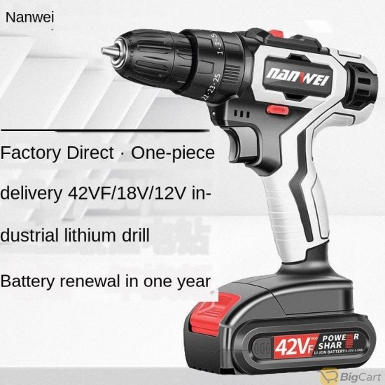 Impact Drill Hammer Drill Electric Screwdriver Rechargable 10mm 2-Speed 21 V
