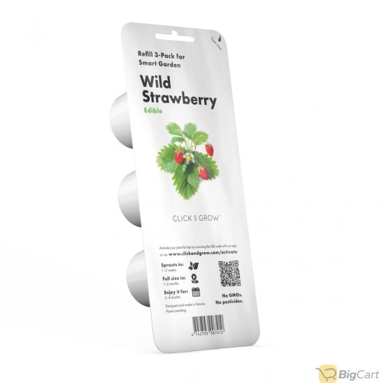 Click & Grow Seeds Wild Strawberry